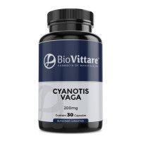 Cyanotis vaga 200mg 30 Cápsulas 