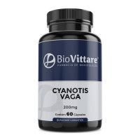 Cyanotis vaga 200mg 60 Cápsulas 